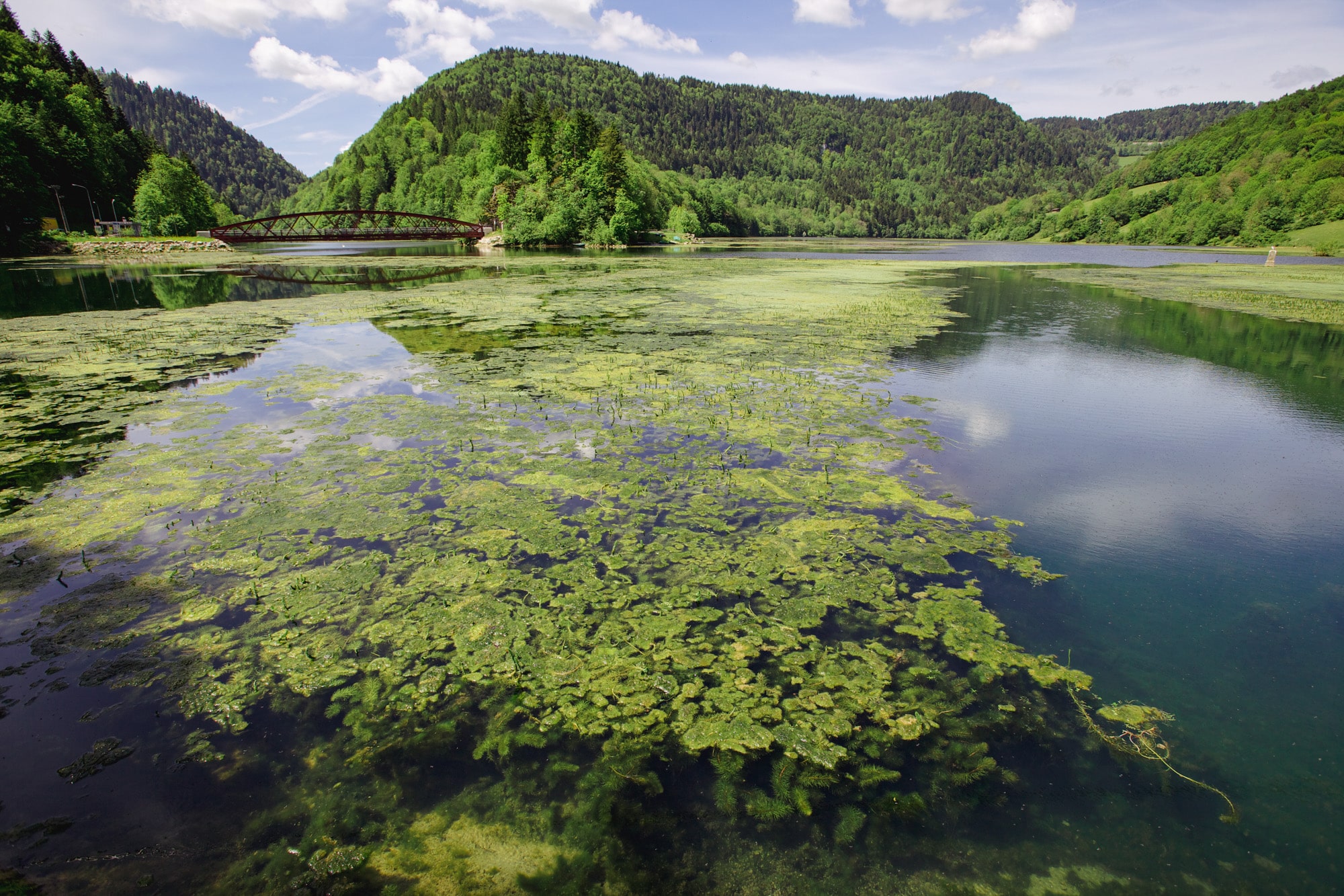 recouvrement algues retenue de Biaufond Doubs